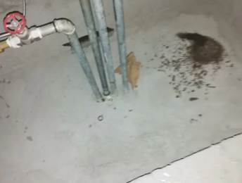 富蕴卫生间测漏水价格明细